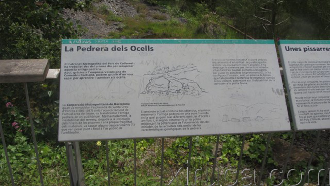 Fotografies de la ruta al Puig de Madrona (Serra de Collserola